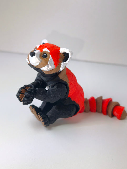 Červená Panda