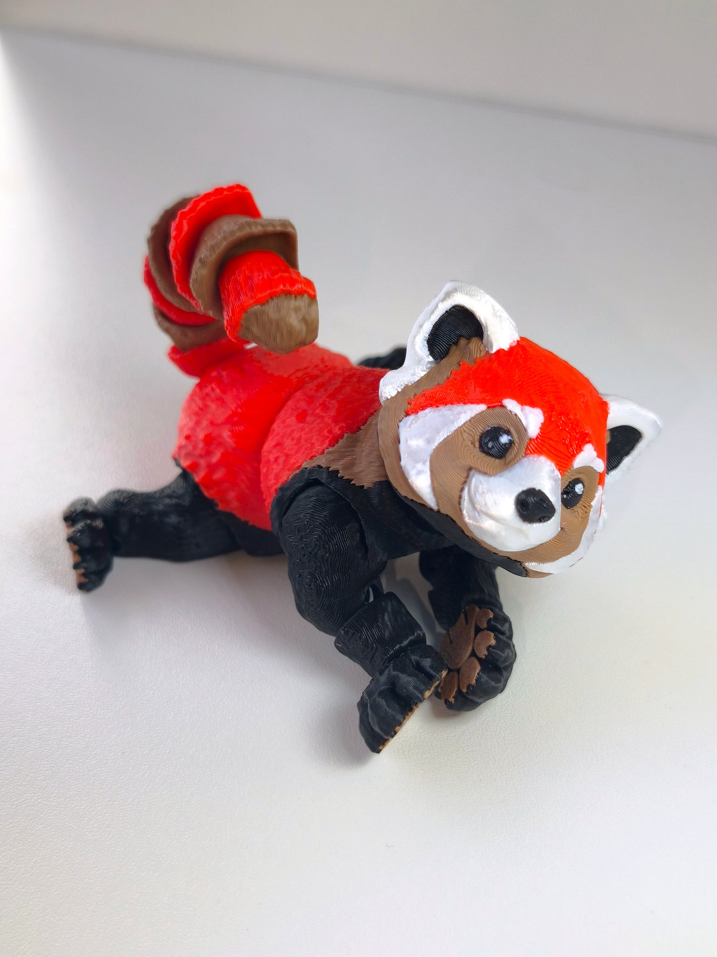 Červená Panda
