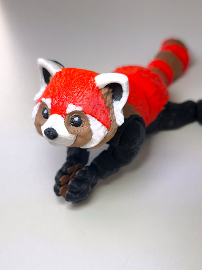 Červená Panda