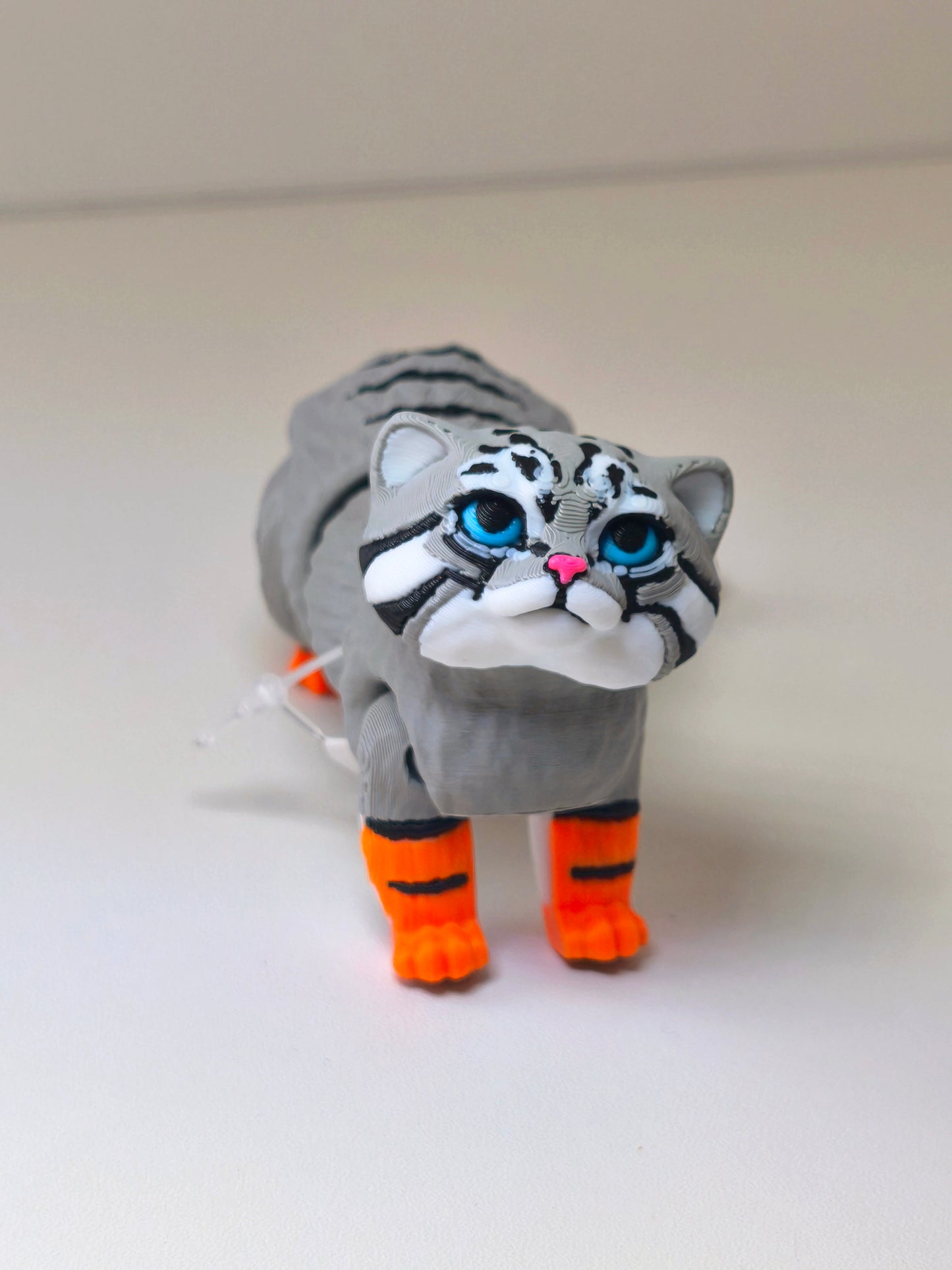 Mačka Manul